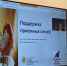 В Архангельской области состоялся форум приемных родителей - Сетевое издание Устьянский край