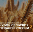 Кубок сельских пекарей - Устьянский муниципальный округ