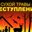 ПАЛ сухой  травы - преступление. - Устьянский муниципальный округ